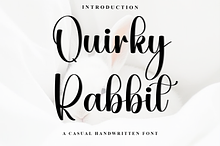 Quirky Rabbit