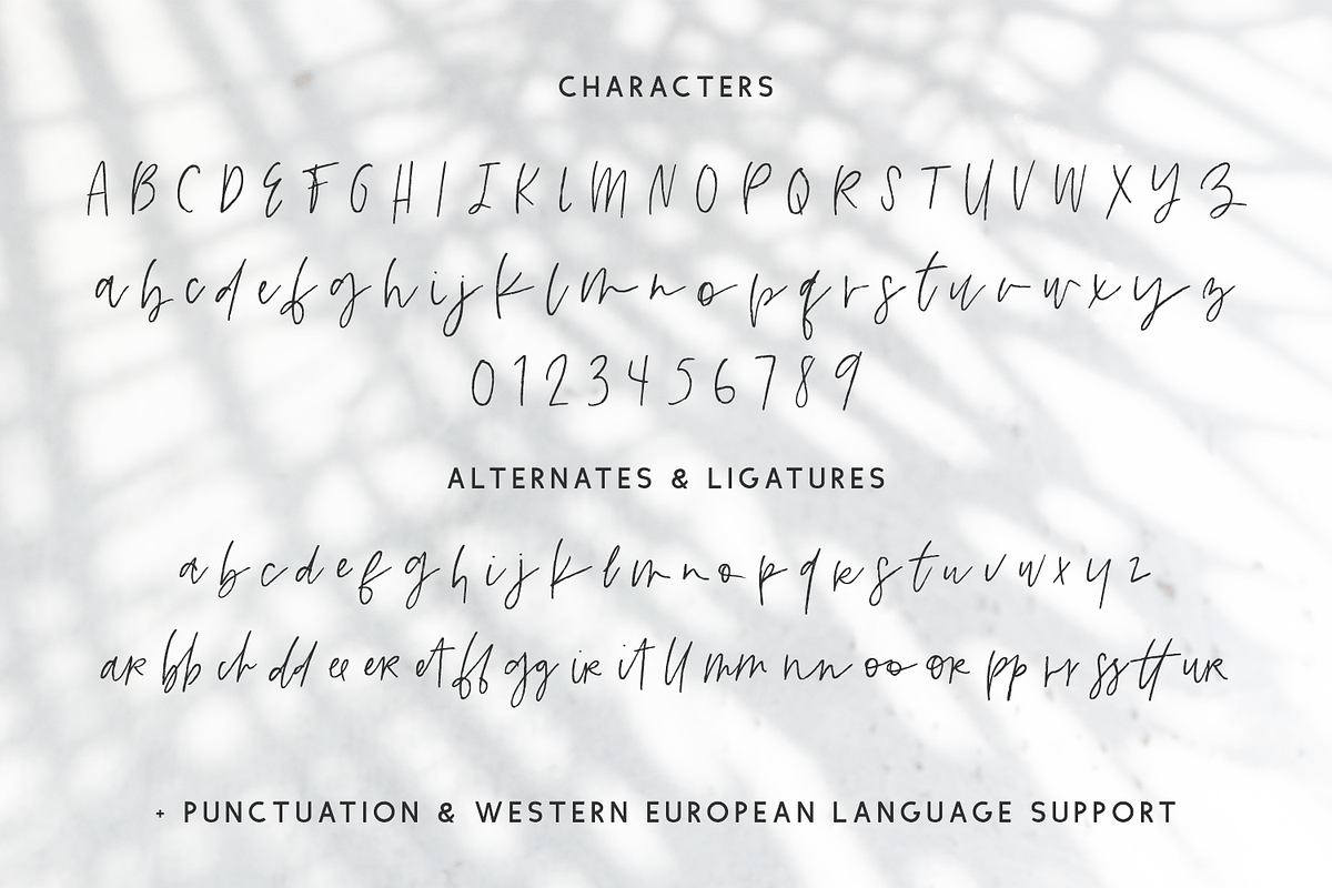 Gulfstream Brush Script, a Handwritten Font by Beck McCormick (Photo 9 of 9)