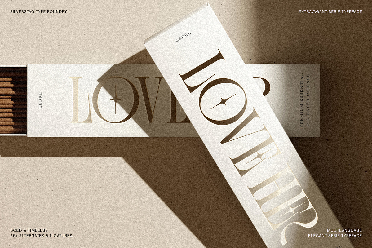 SLTF BOXROOM - Modern Serif Typeface, a Serif Font by SilverStag Type Foundry (Photo 4 of 30)