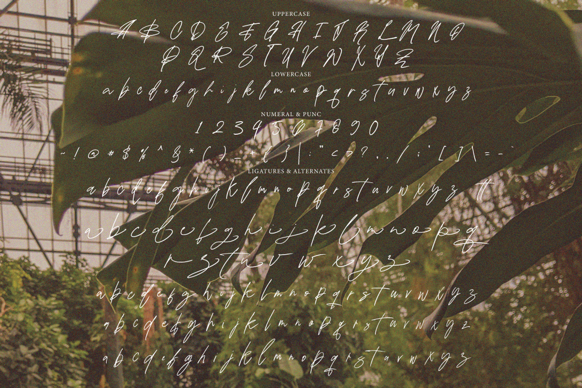 Qikabey - Handwritten Signature, a Handwritten Font by tebaltipislab (Photo 4 of 7)