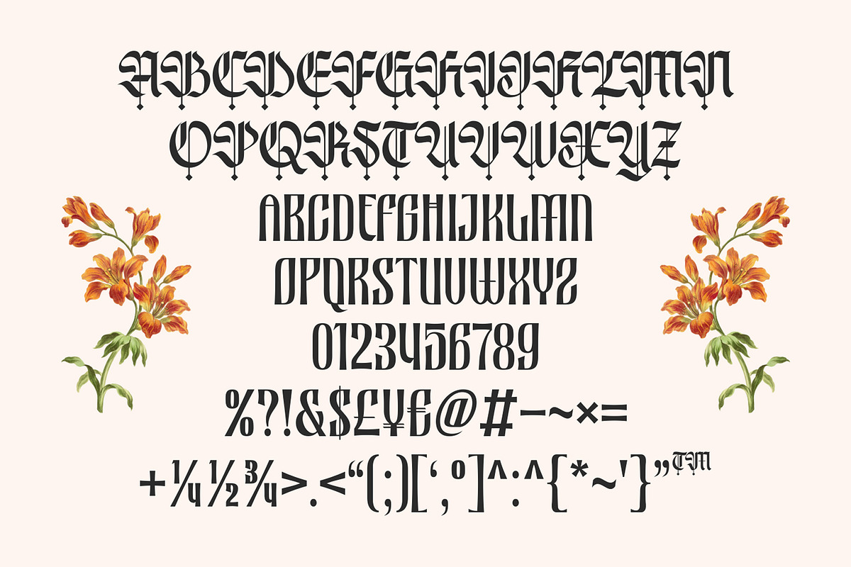 Nocthira Blackletter Font, a Blackletter Font by Heinzel Std (Photo 6 of 10)