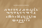 Tropical Garden font, a Serif Font by Davide Bassu (Thumbnail 15 of 15)