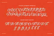 The Rachery, a Script Font by MERCURIAL (Thumbnail 4 of 14)