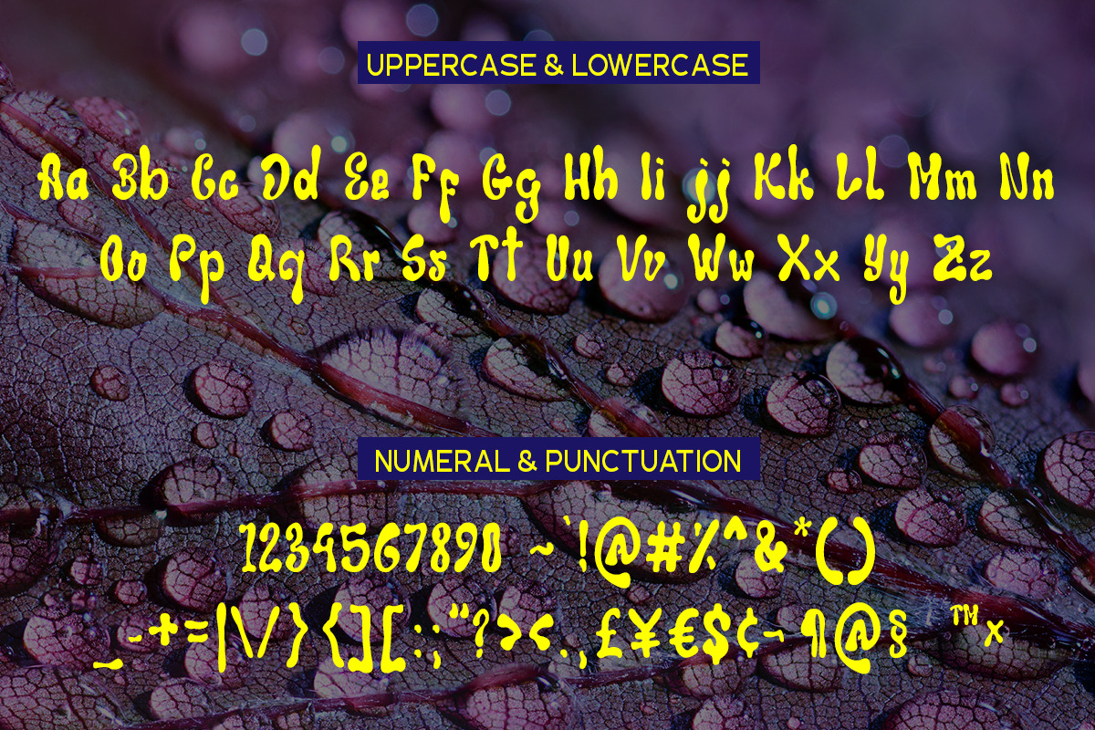 Wakaba | Display Font, a Handwritten Font by By Kineks (Photo 8 of 9)