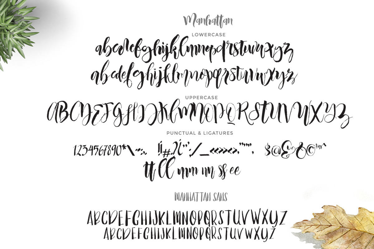 Manhattan Script (2 fonts) preview 5