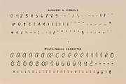 Tamyra Fyne - Bold Handwritten, a Handwritten Font by Indotype Foundry (Thumbnail 5 of 10)