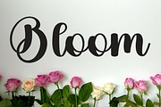 Country, a Handwritten Font by InermediaSTUDIO (Thumbnail 5 of 8)