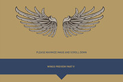 160 Pairs of Vector Wings, an Object Graphic by Damien (Thumbnail 16 of 17)
