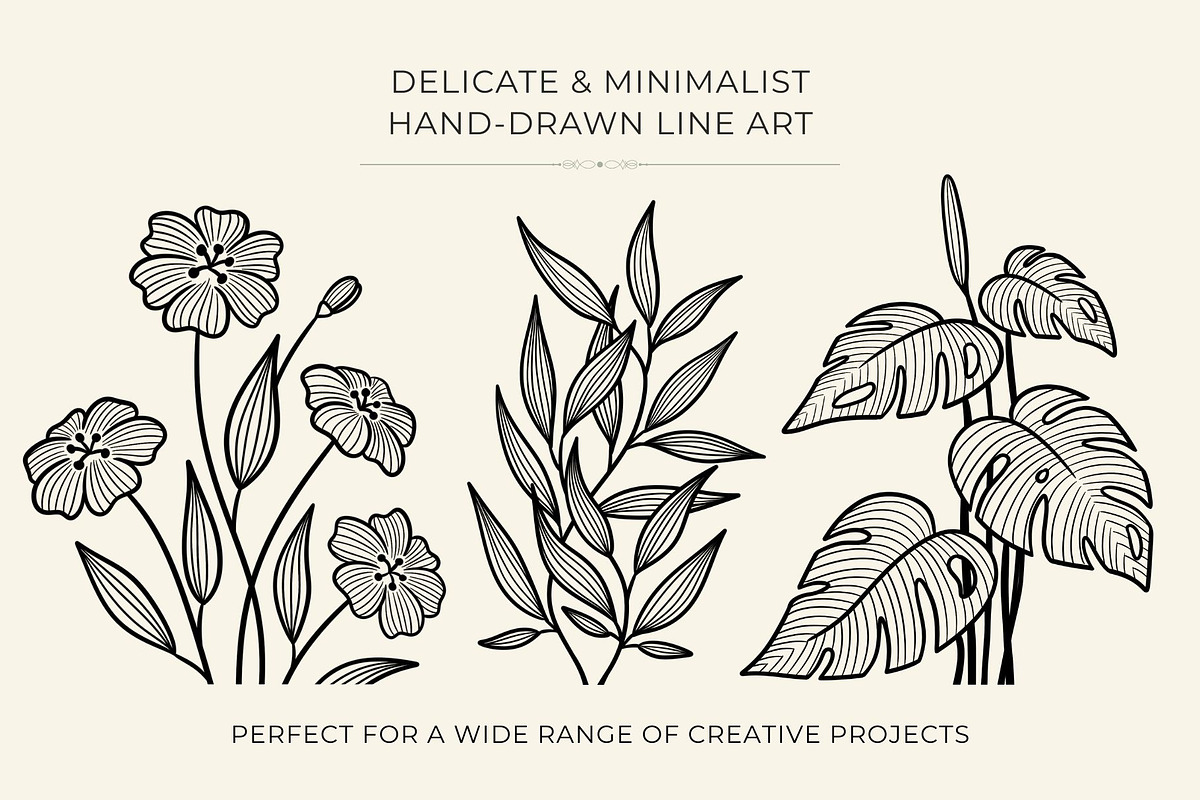 Botanical Line Art PNG Bundle, a Decorative Illustration by shielscreations (Photo 3 of 5)