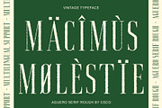 Aguero Serif Rough, a Serif Font by Craft Supply Co. (Thumbnail 3 of 8)