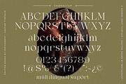 Amstine | Modern Serif, a Serif Font by Pentagonistudio (Thumbnail 9 of 10)