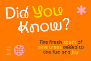 CS Belia – Display Sans Serif Font, a Sans Serif Font by Craft Supply Co. (Thumbnail 4 of 8)