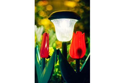 Small Solar Garden Light, Lantern In, a Nature Photo by Our Amazing World