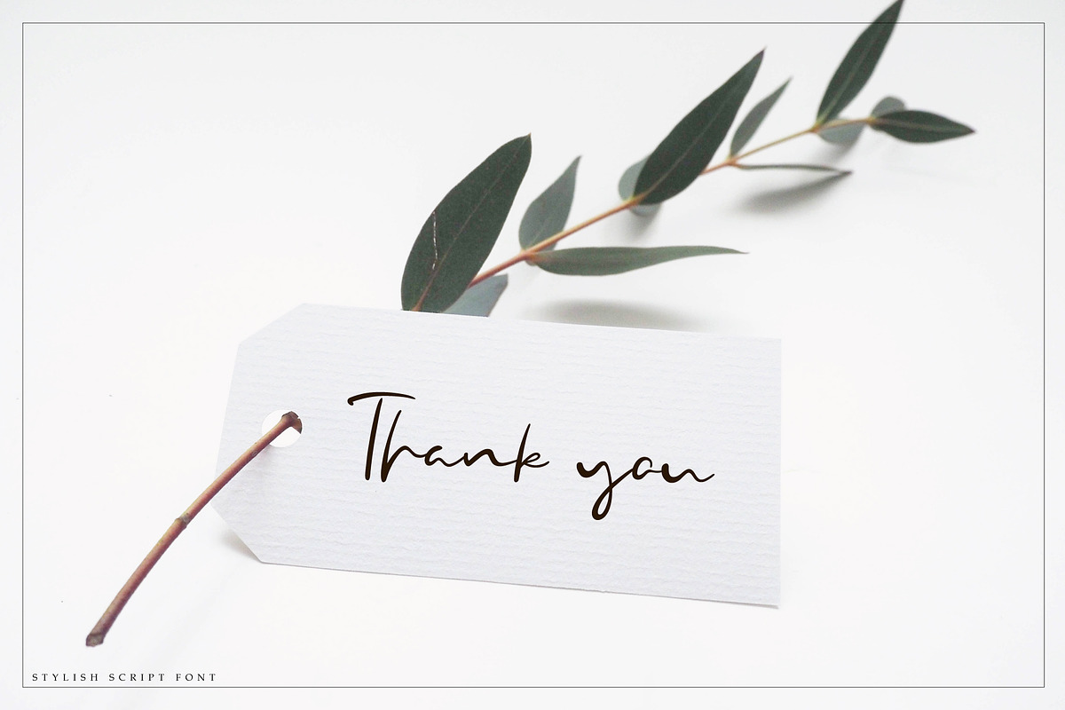 Manhattan Blue Script Font, a Script Font by SiDesign (Photo 11 of 12)