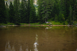 Small lake in the green forest, a Nature Photo by Alpine Dreams