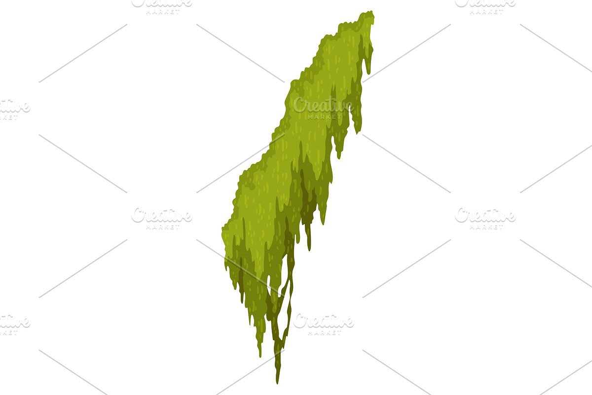 Cartoon jungle moss shape. Green, an Object Illustration by the8monkey