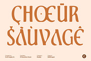 CS Quantine Drawn, a Serif Font by Craft Supply Co. (Thumbnail 6 of 8)