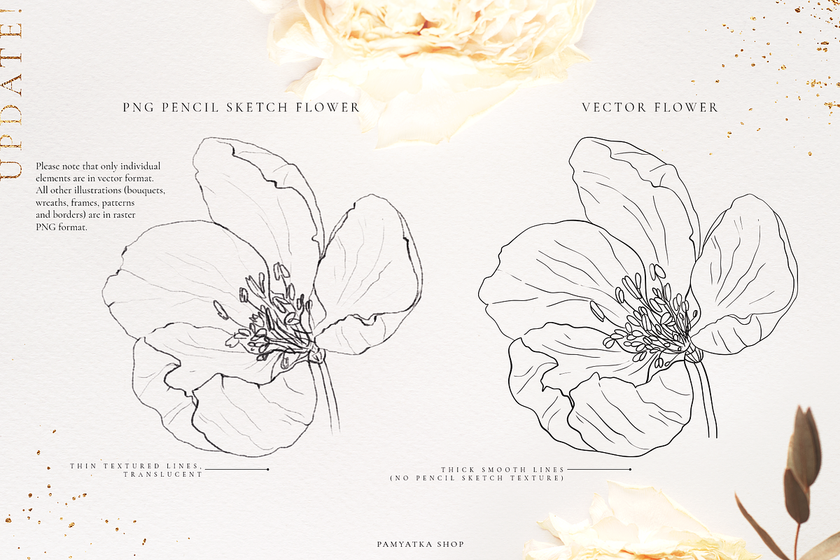 Wildflowers-Pencil sketch collection, a Decorative Illustration by Pamyatka Shop (Photo 5 of 13)