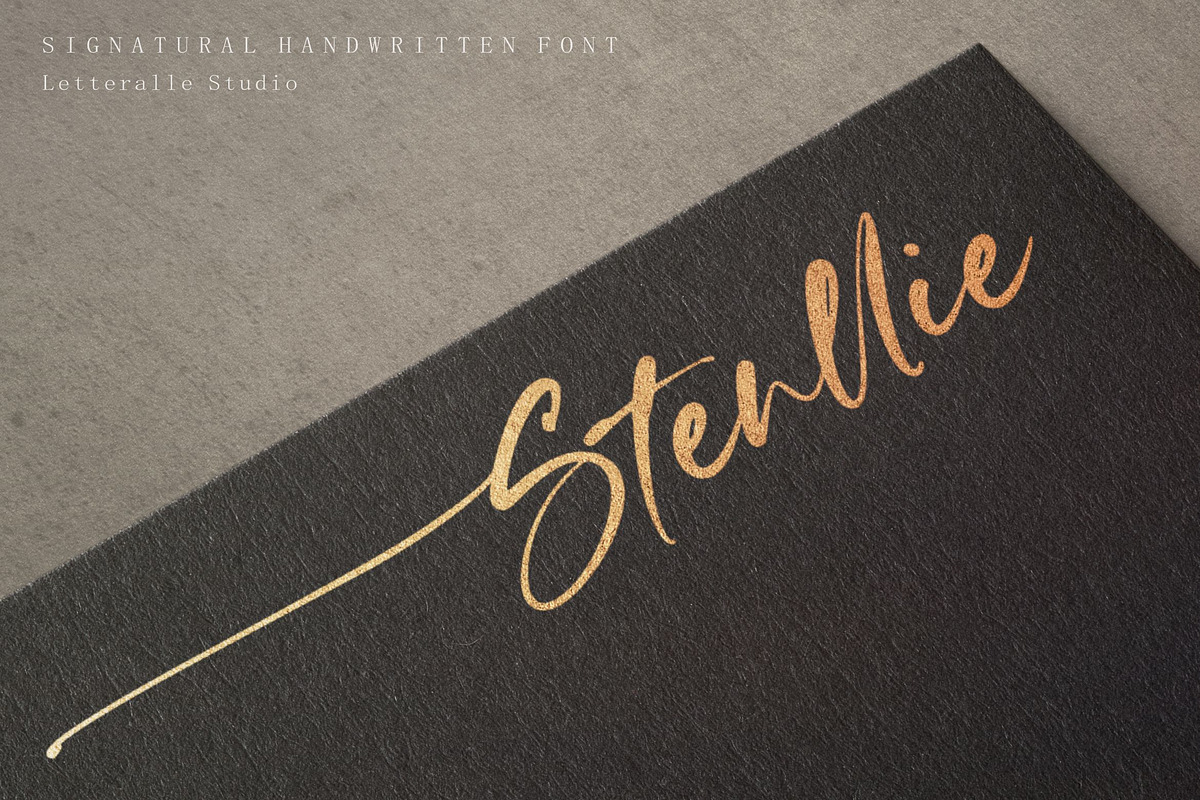 Signatural Handwritten Script Font, a Script Font by Letteralle Studios (Photo 9 of 9)