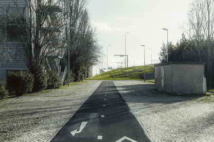 Bike lane with markings, city view, a Transportation Photo by SkyNext