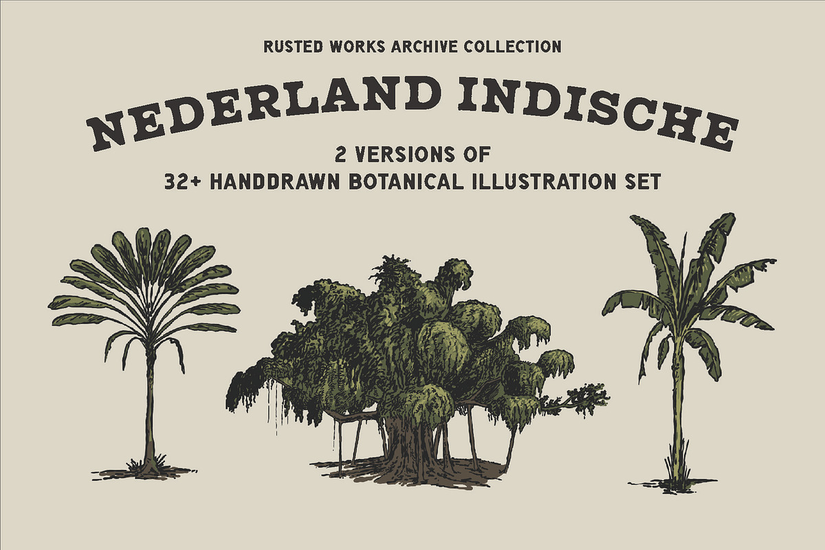 East Indies Botanical Illustrations, a Decorative Illustration by Rusted Works (Photo 1 of 10)