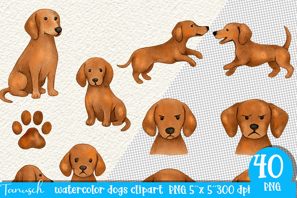 Watercolor Dog - Dachshund CLIPART, an Animal Illustration by TanuschArts (Photo 6 of 6)