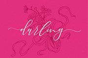 Pretty Woman || Couple Font Duo, a Serif Font by typeline studio (Thumbnail 4 of 8)