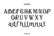 Helmova, a Serif Font by Zaloma Studio (Thumbnail 17 of 18)