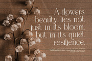 Fringk Luxury Serif Font, a Serif Font by Elegant Font (Thumbnail 6 of 8)