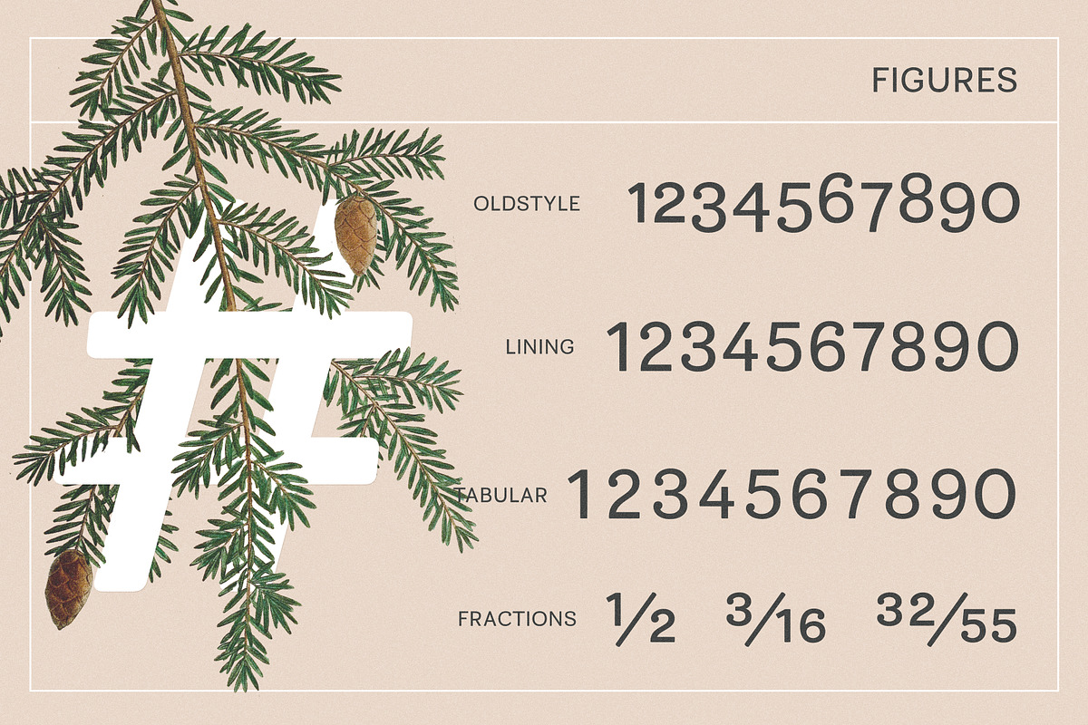 Bakewell Complete Family, a Sans Serif Font by Kimmy Design (Photo 10 of 14)
