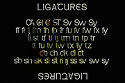 Pagers - Display Serif, a Serif Font by tebaltipislab (Thumbnail 8 of 15)