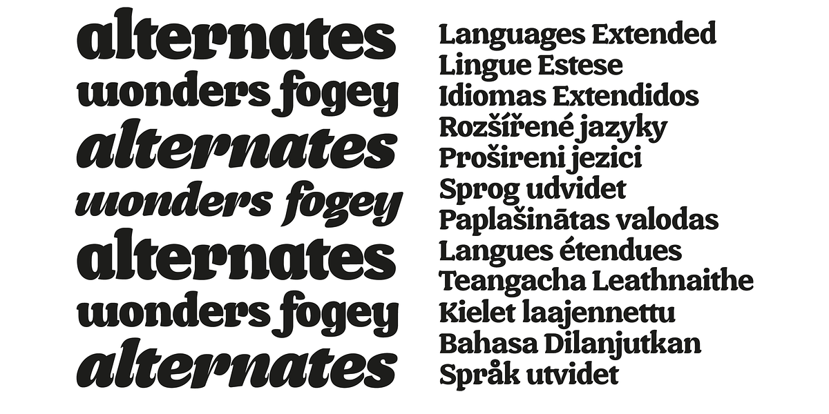 Brokolino Text, a Slab Serif Font by Aspro Type (Photo 14 of 14)