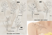 Birth FLOWER Stamps Jan-June, a Brush Add-On by CaraulanStore (Thumbnail 3 of 5)