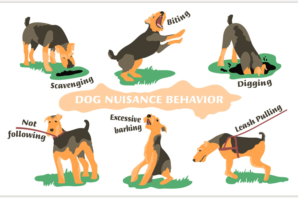 Dog behavior problem icon set, an Icon by Anna's Shop