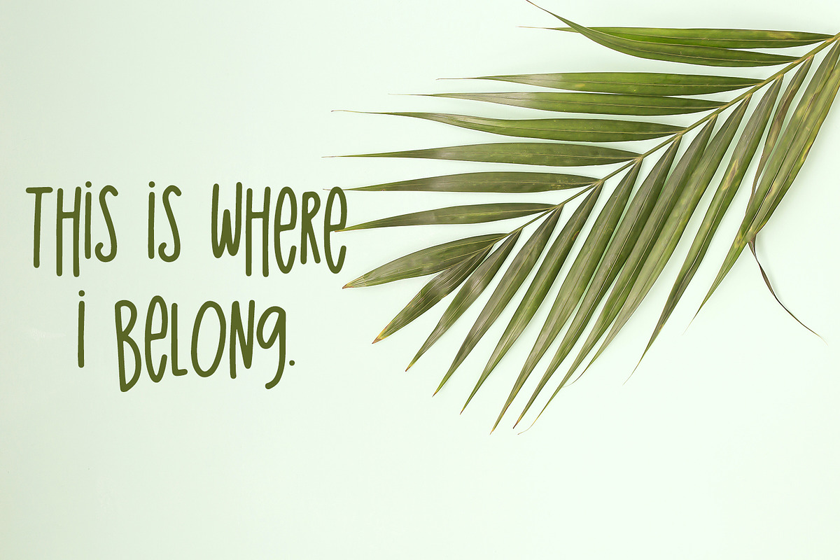 The Island Sans, a Sans Serif Font by Beck McCormick (Photo 3 of 6)