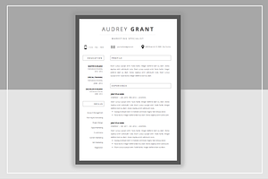 B U N D L E 10 Resume Templates