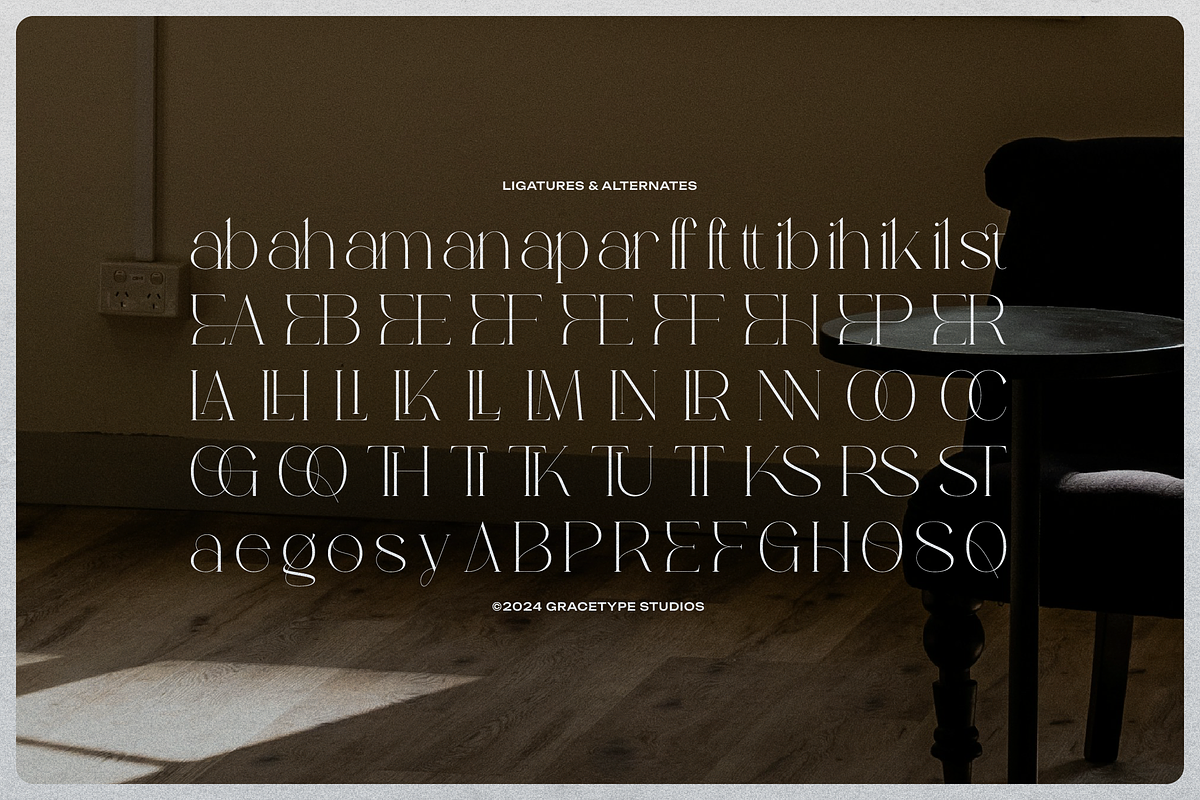 Arsenov | Modern Classic, a Serif Font by gracetype_studio (Photo 12 of 12)