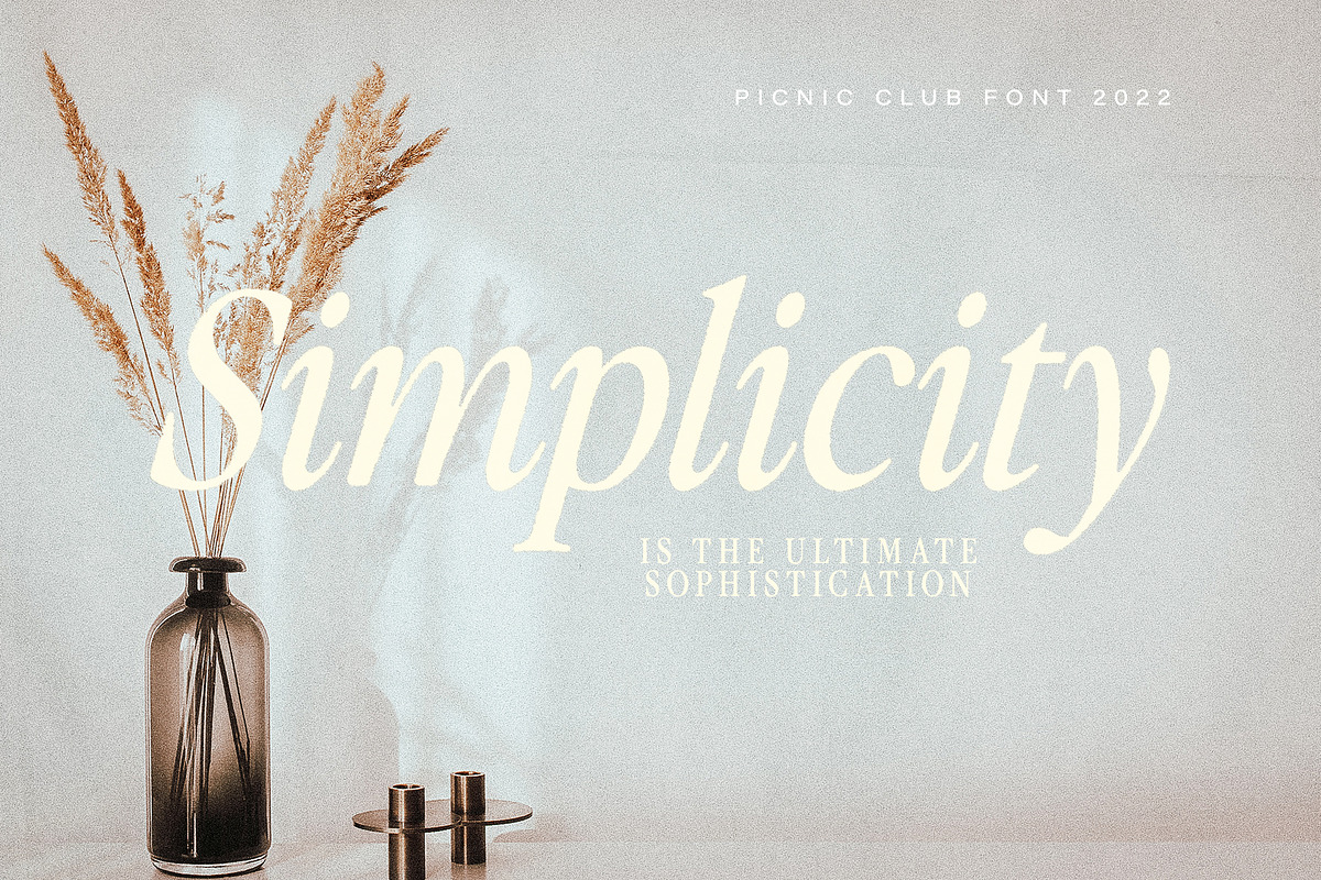 The Picnic Club - Nostalgic Serif, a Serif Font by Ivan Rosenberg (Photo 12 of 19)