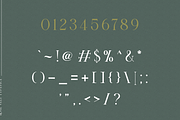 Rose Velt, a Serif Font by ilhamtaro (Thumbnail 7 of 9)