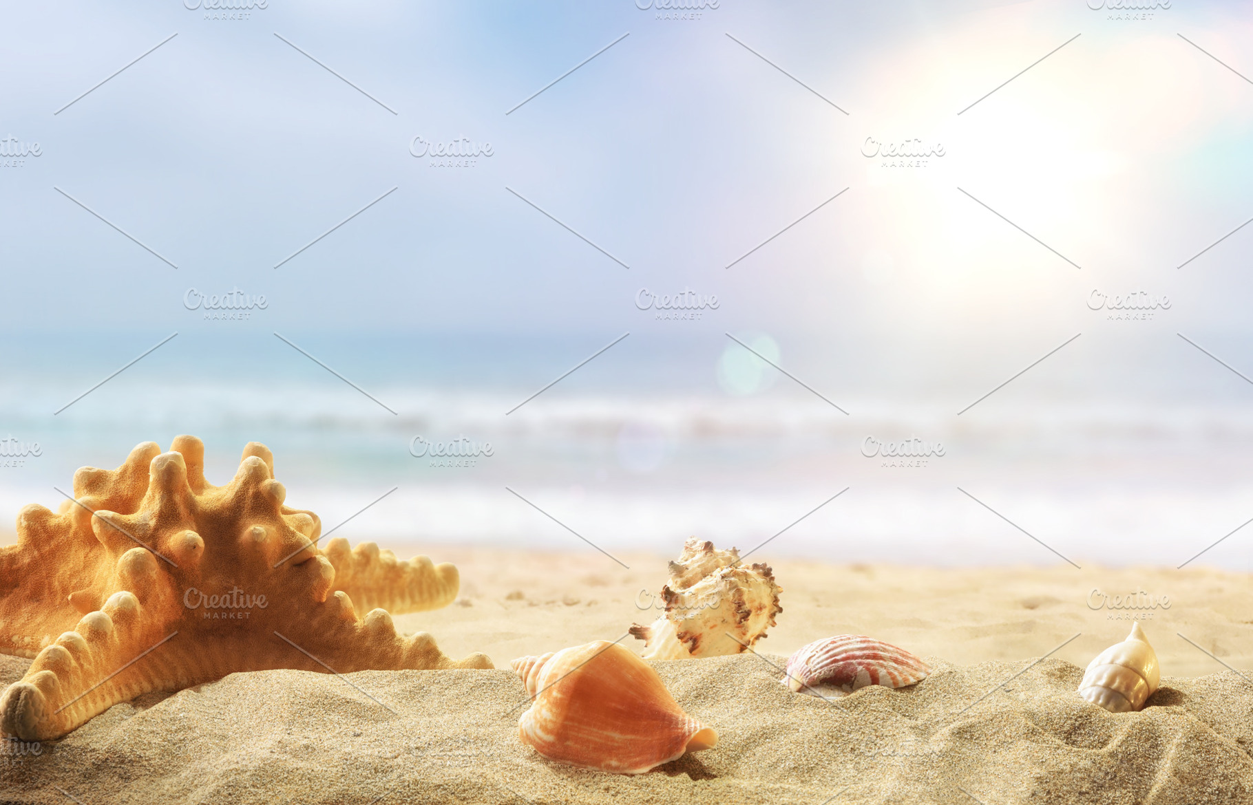Starfish and Shells on Sunny Beach Sand, a Holiday Photo by Davizro's Market