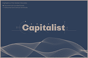 Golden Decades, a Sans Serif Font by Dharma Type (Thumbnail 8 of 12)