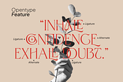 Calabassas Fresh Modern Serif, a Serif Font by Vampstudio (Thumbnail 3 of 13)
