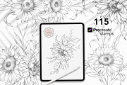 Sunflower Stamps for Procreate, a Brush Add-On by CaraulanStore (Thumbnail 1 of 11)