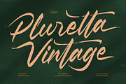 Pluretta Vintage Modern Brush Font, a Serif Font by Letterena Studios Script (Thumbnail 1 of 20)