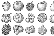 Mixed Fruit Icon Set, an Object Graphic by nikagraphic (Thumbnail 3 of 3)