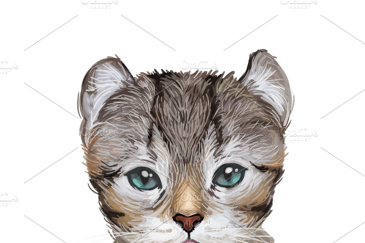 Cats and Kittens, 160 png breeds, an Animal Illustration by Dneprstock (Photo 5 of 11)