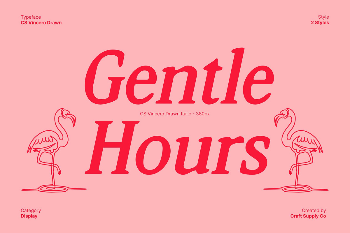 CS Vincero Drawn, a Serif Font by Craft Supply Co. (Photo 3 of 8)