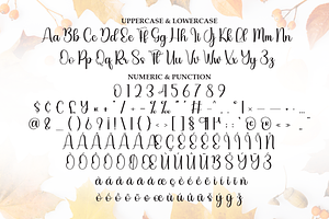 Thanksgiving Script Font