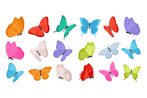Set of flying colorful butterflies, an Animal Illustration by Yayasya