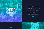 George Sans Geometric Typeface, a Sans Serif Font by Kaligra.co (Thumbnail 17 of 18)